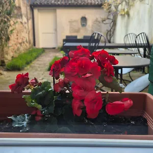 Bed & Breakfast 19 Borgo Cavour, Treviso